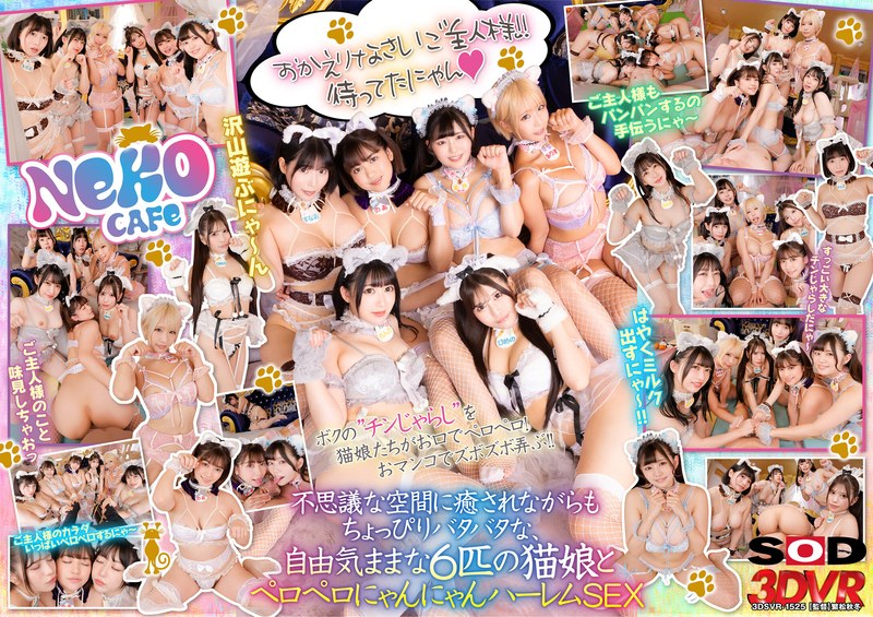 【中出し×天咲ひめの・天晴乃愛・乙アリス】【VR】猫カフェ行ったらまさかの猫娘の登場！？～舐められまくりの自由気ままなにゃんにゃんハーレムSEXだにゃん～|SODクリエイト