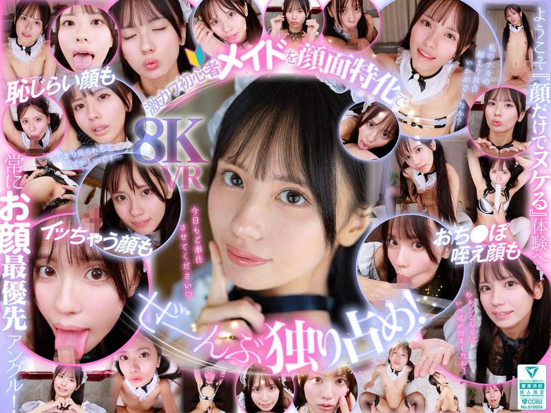 【フェラ×渚あいり】【VR】ウブで、健気で、照れ屋さん。ゼロ距離で恥じらいスケベご奉仕【顔面特化】僕専用性処理メイド 渚あいり|エスワン ナンバーワンスタイル