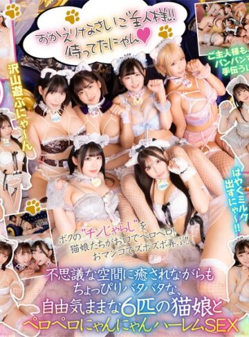 天咲ひめの・天晴乃愛・乙アリス❤【VR】猫カフェ行ったらまさかの猫娘の登場！？～舐められまくりの自由気ままなにゃんにゃんハーレムSEXだにゃん～｜中出し 評価4.17