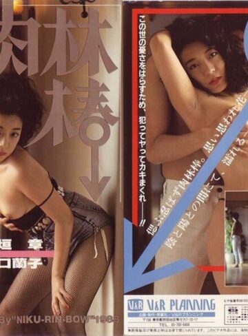 坂口蘭子❤肉林棒 坂口蘭子｜お姉さん